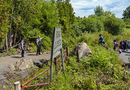 Asylum seekers cross into Canada