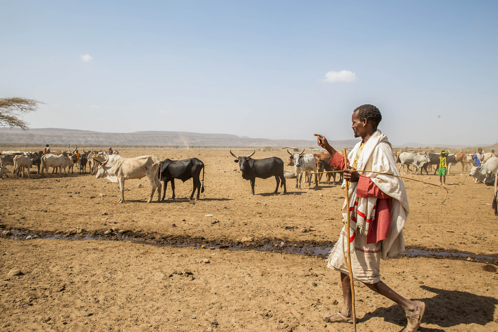 DroughtEthiopia UNICEFEthiopia Flickr