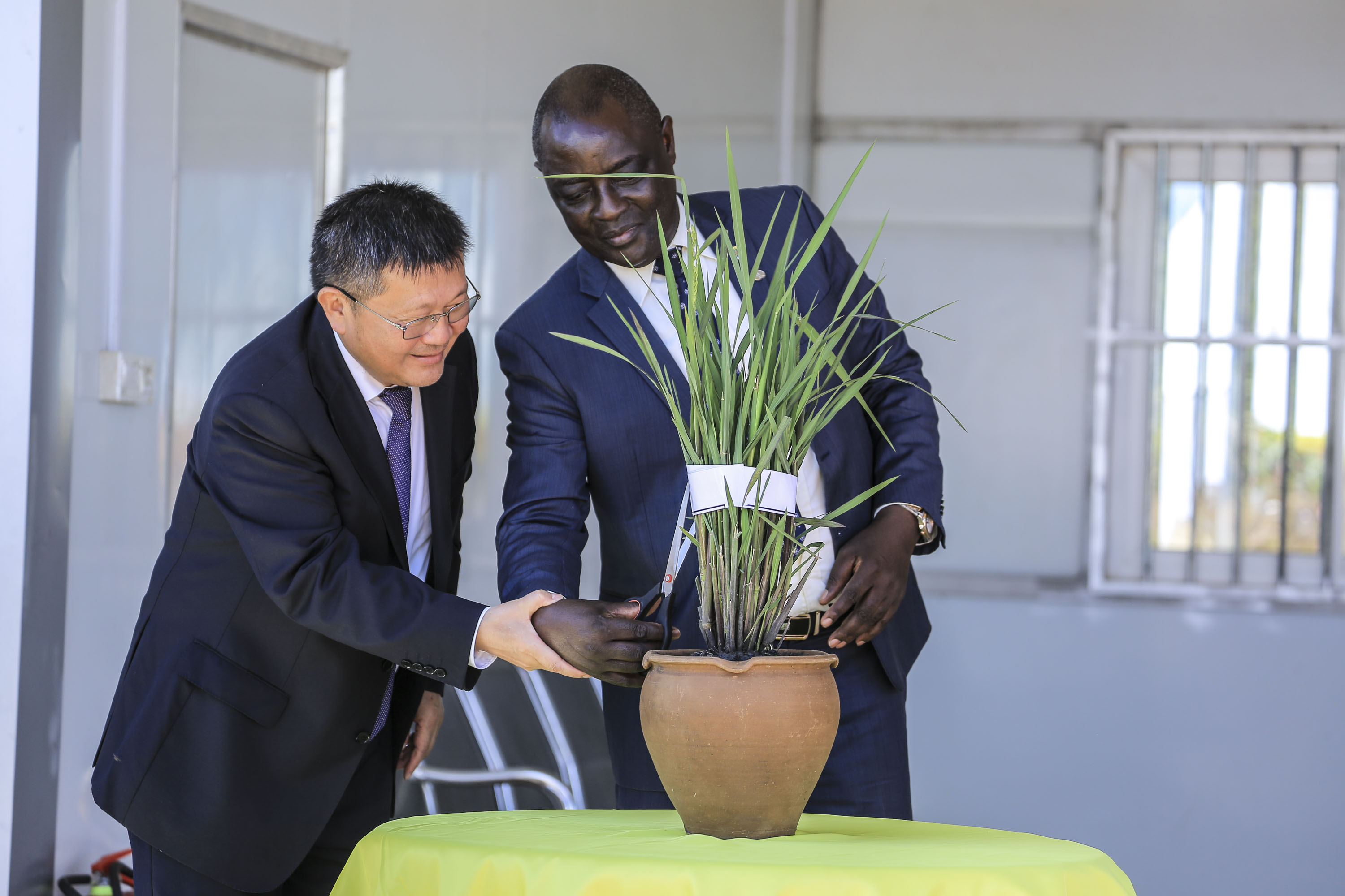 Two officials visit the China-Uganda Agricultural Cooperation Industrial Park in Uganda. 