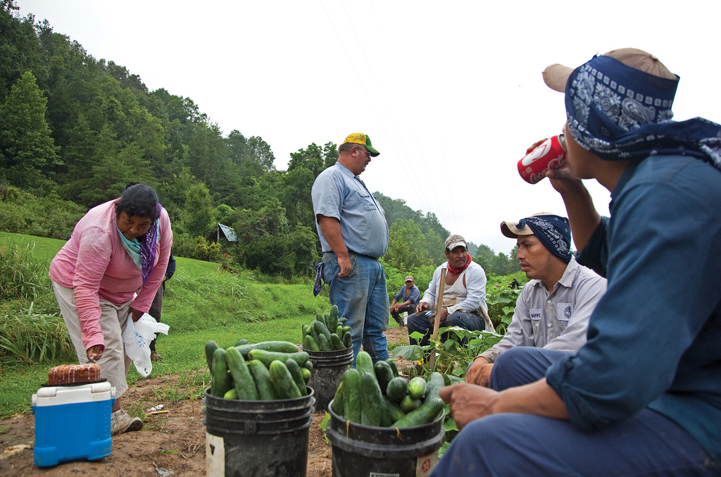 Agricultural workers break for lunch on a cucumber farm in Virginia.