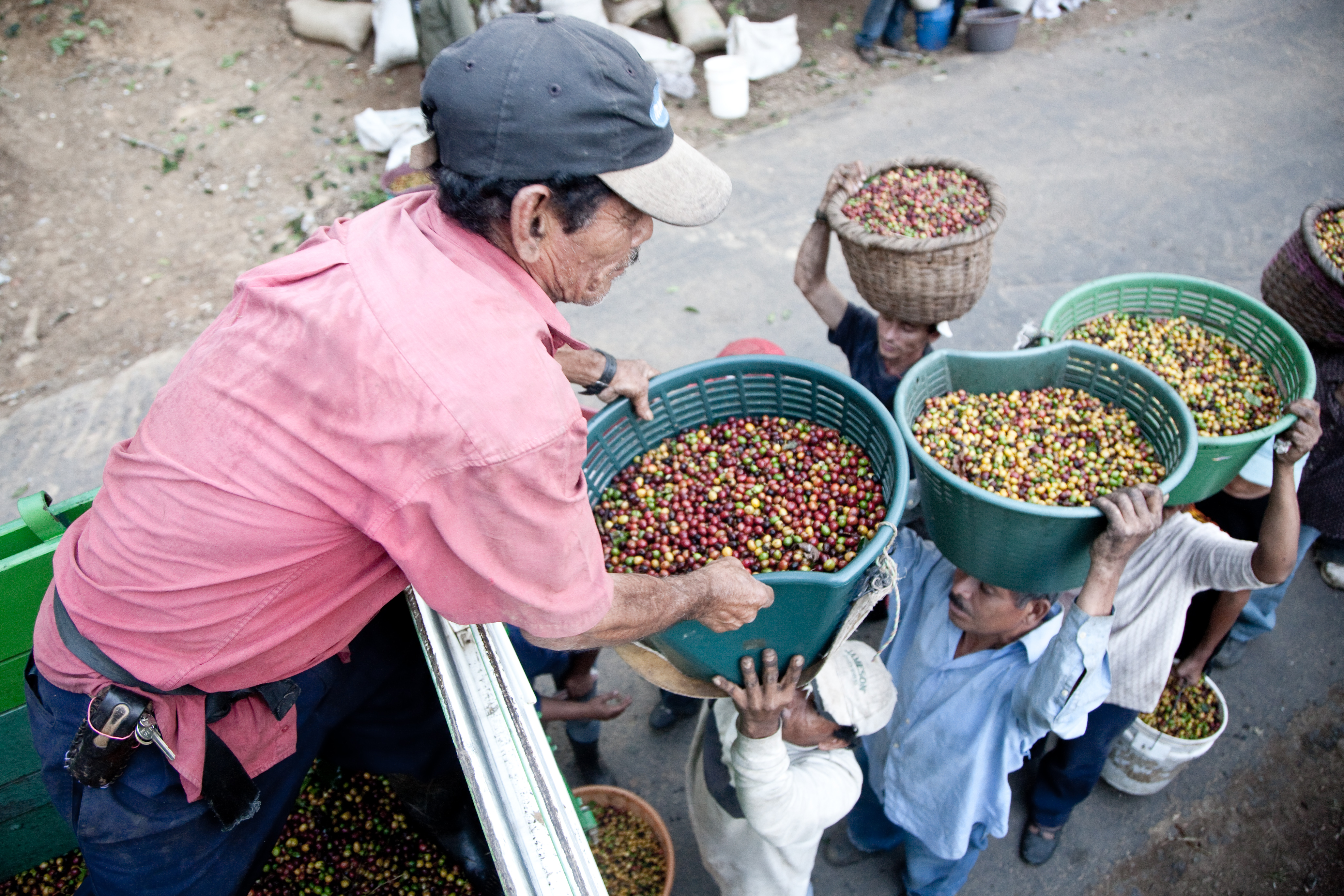NicaraguanCoffeePickers IngmarZahorsky Flickr