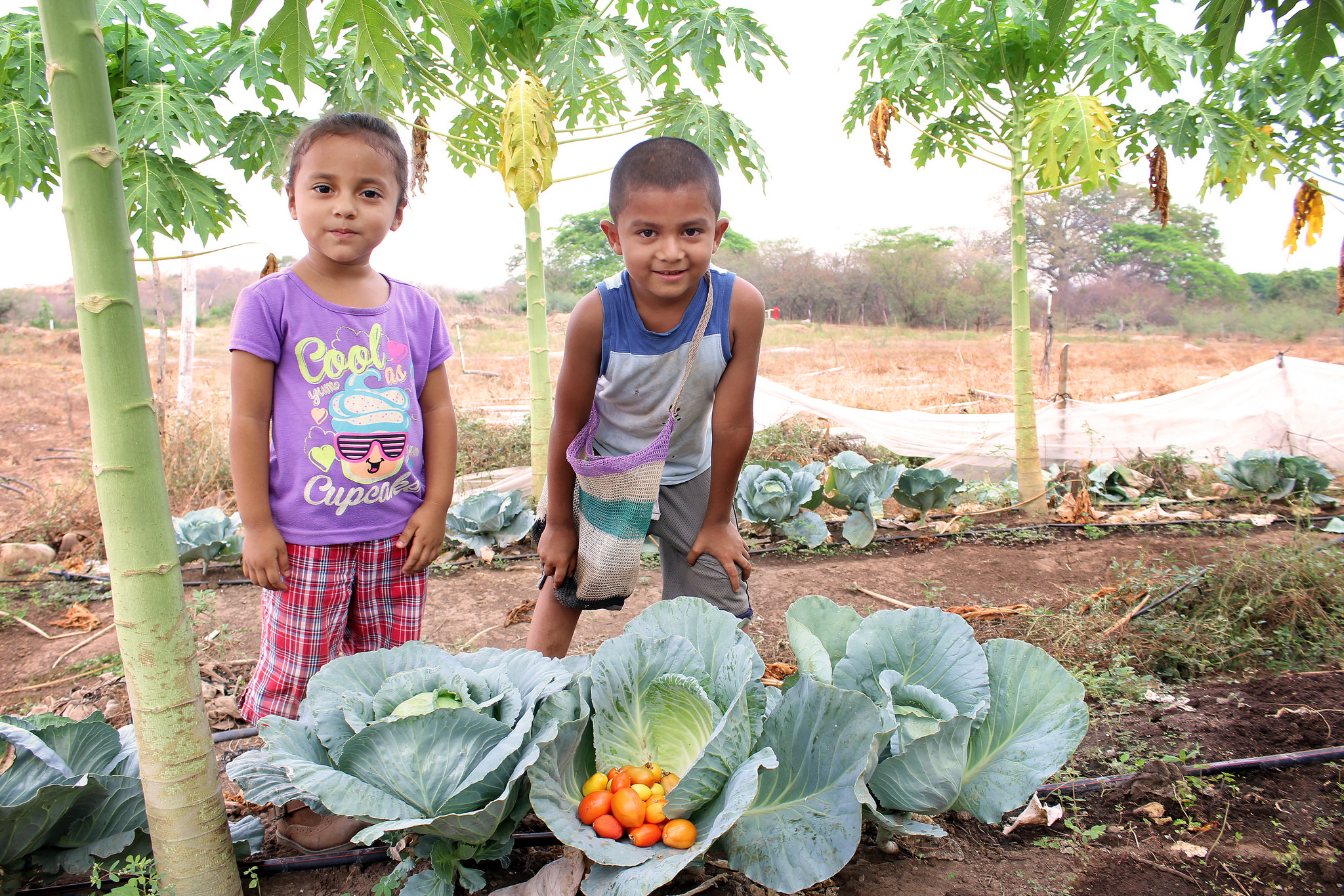 SalvadoranKids FAO AMEXCID Flickr