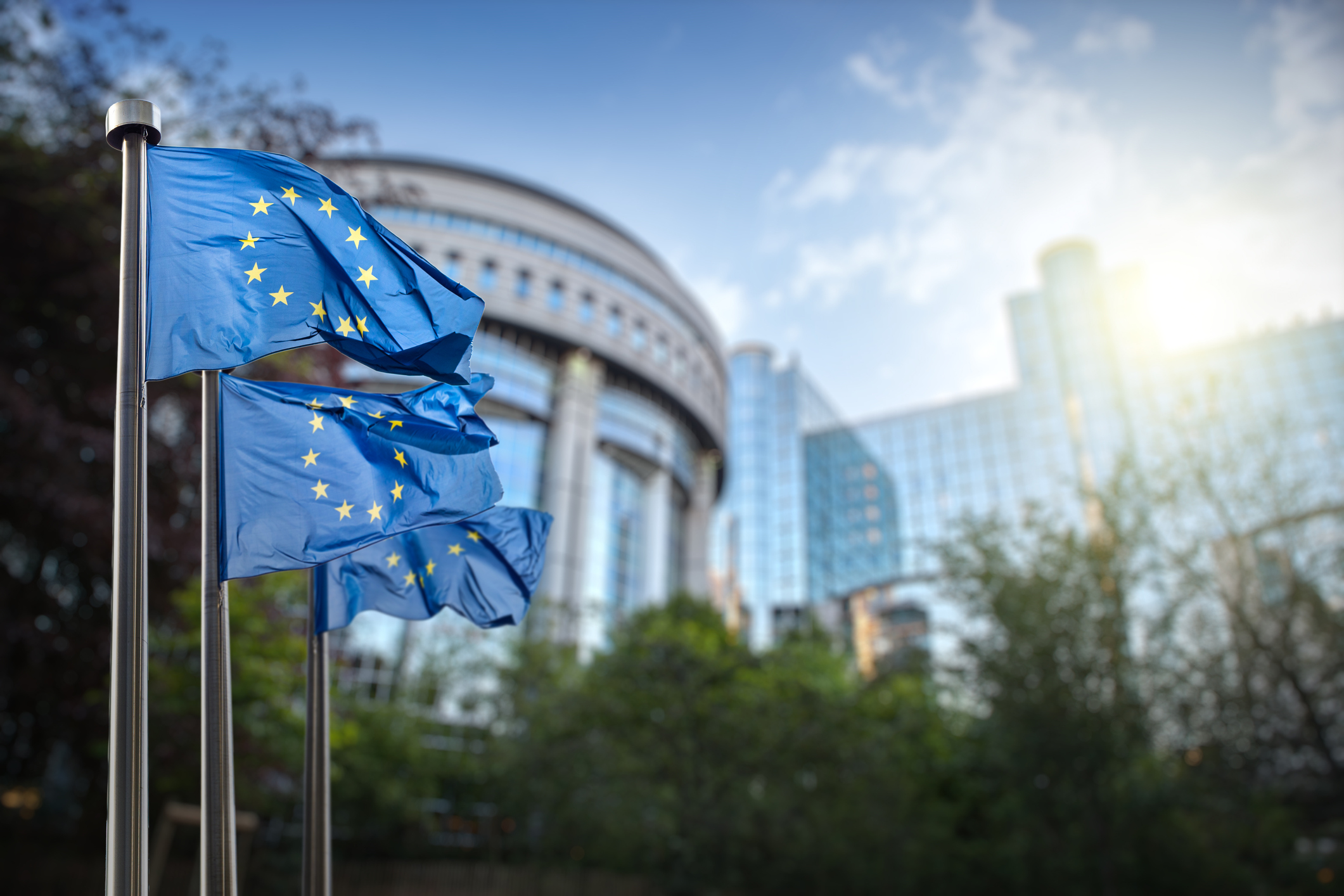 Flags of the European Union fly outside of the European Parliament in Brussels.