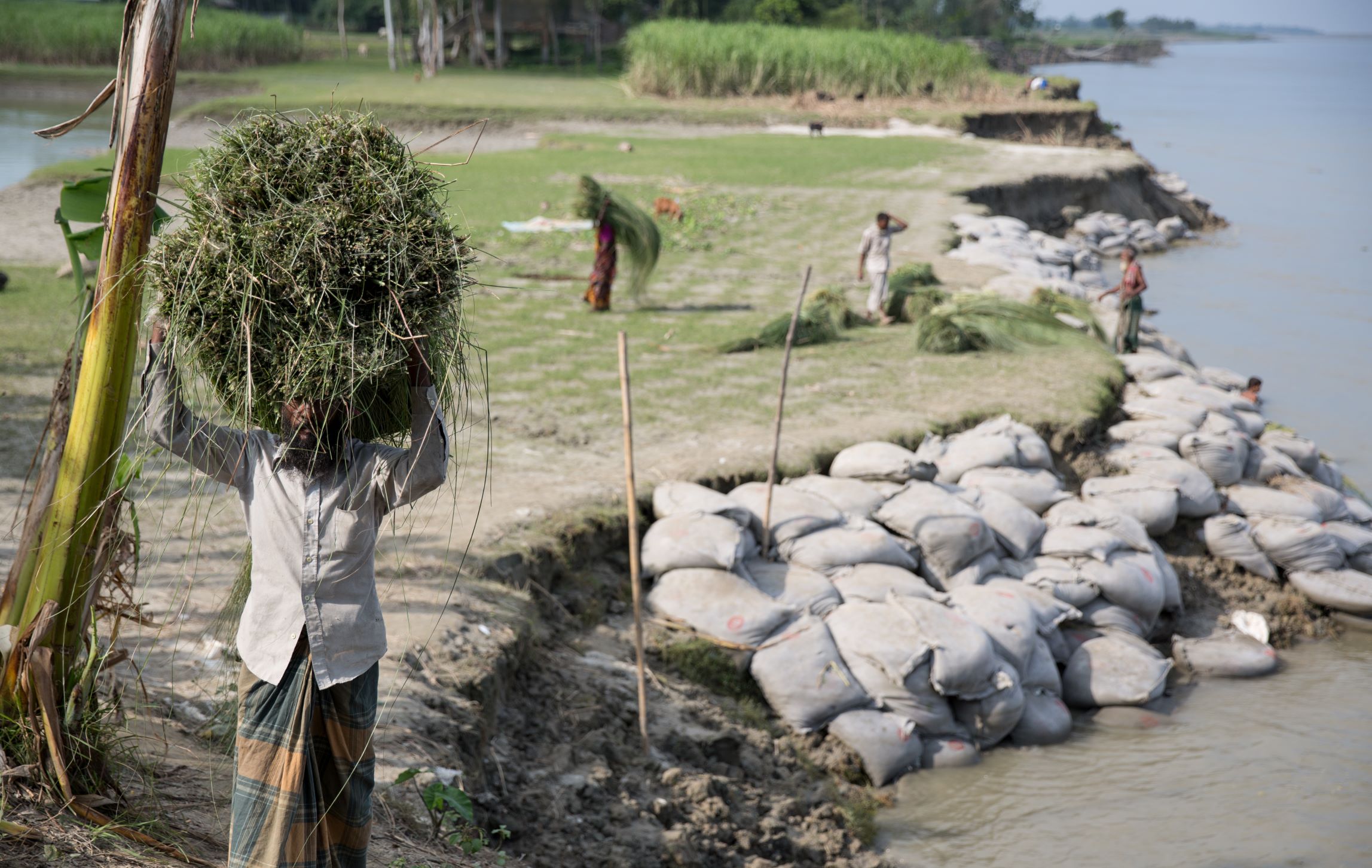 A man walks through a community affected by river erosion in Bangladesh.