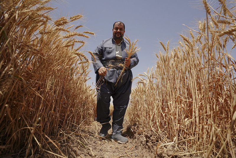 A farmer in the Kurdistan region of Iraq.