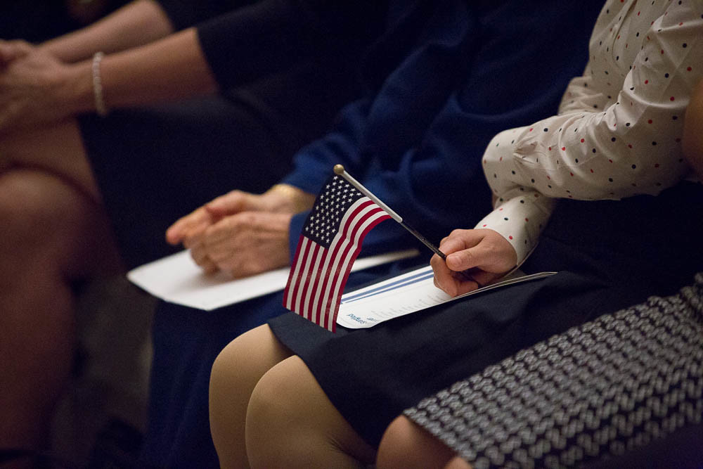 statistics us immigration immigrants data