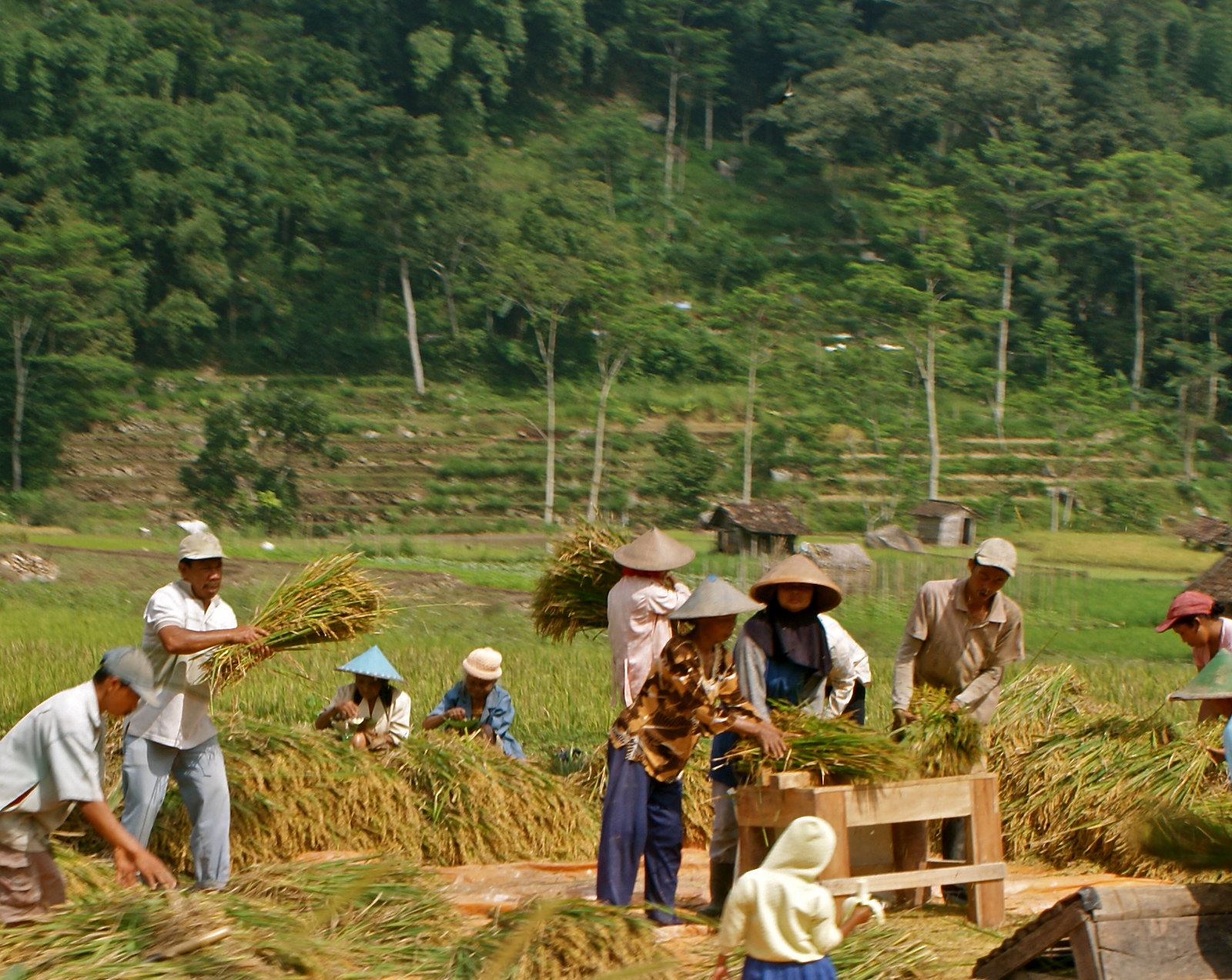 us peace corps indonesia
